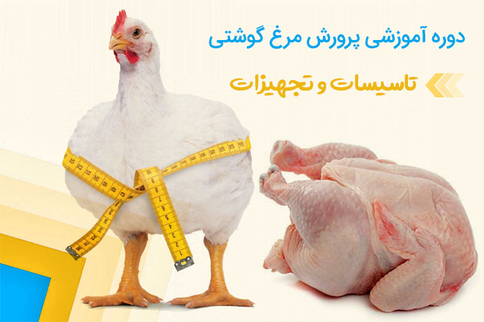 آموزش پرورش مرغ گوشتی | تاسیسات و تجهیزات
